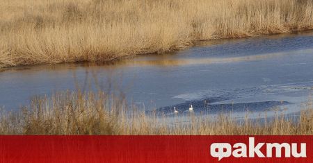 Охранителите на Поддържан резерват Сребърна са извадили три рибарски мрежи