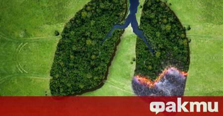 Атмосферата на Земята наситена с кислород и жизненоважна за сложните