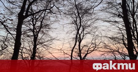 Минималните температури тази сутрин ще са между минус 5 deg и