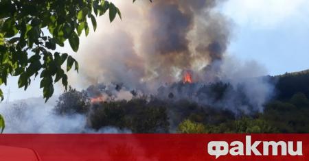 Големият пожар край Девин е ликвидиран, но остана под наблюдение