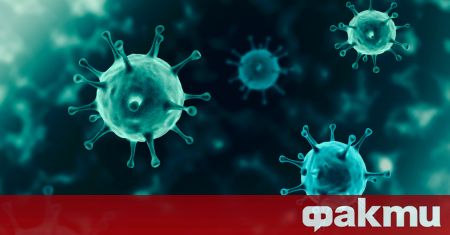 В Кипър е открит нов вариант на коронавируса Той е