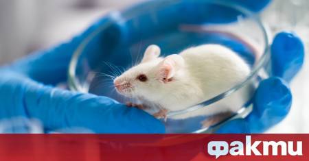 Екип учени от Шанхайския университет Цзяо Тун в Китай за