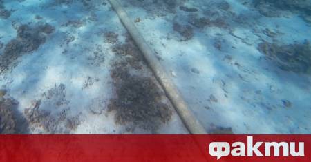 Европейската комисия ЕК е отпуснала 347 млн EUR за гарантиране