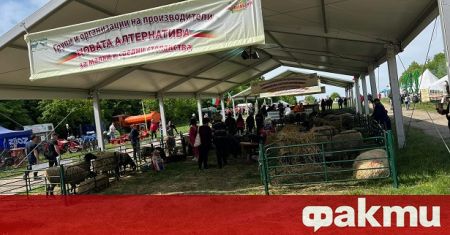 Национален събор на овцевъдите се провежда край Арбанаси вече втори