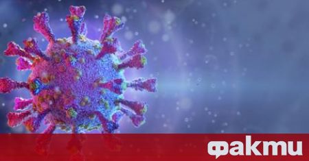 Преболедувалите COVID-19 изграждат антитела срещу всички антигени на вируса, докато