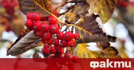 Ще бъде предимно облачно и на много места ще има