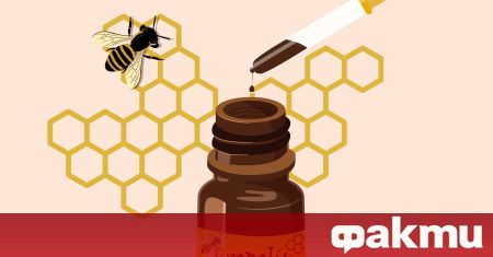 Сред продуктите от пчеларството освен мед при лечението на някои