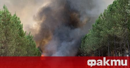 Горски пожари бушуват от вчера в Югозападна Франция предаде Ройтерс Пламъците