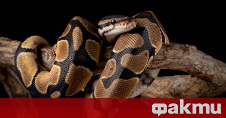 Експерти на Регионалната инспекция по околната среда и водите –