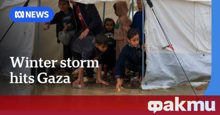 Най малко 16 души са загинали през последните 24 часа