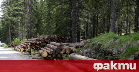 Горски инспектори от Регионална дирекция по горите (РДГ) - Ловеч
