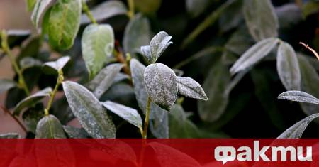 До сряда характерът на времето ще е раннопролетен със слънчеви