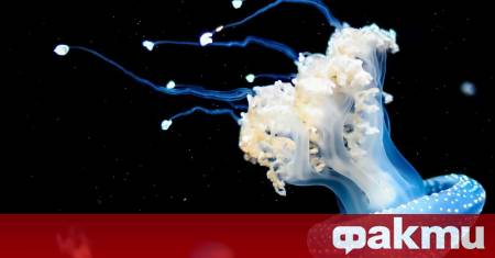 Международен екип от океанографи воден от Китайската академия на науките