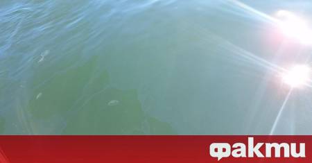 ериозно количество улов е сред причините за потъването на риболовния