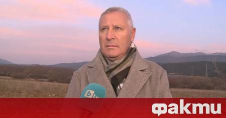 Неизвестни извършители са отрязали редица тополи засадени като ветрозащитен пояс