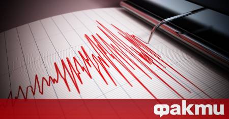 Земетресение с магнитуд 4 6 по скалата на Рихтер е