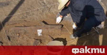 Китайски археолози откриха уникални дървени инструменти датиращи отпреди около 300