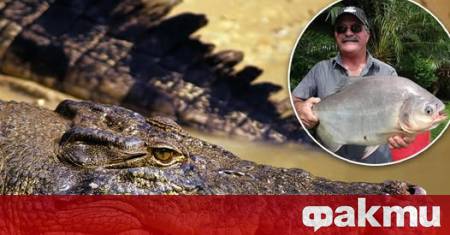 Останките на изчезнал рибар бяха открити в крокодил в Австралия