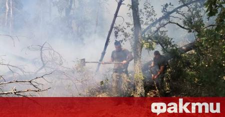 Ликвидиран е горският пожар в Сакар планина между селата Студена