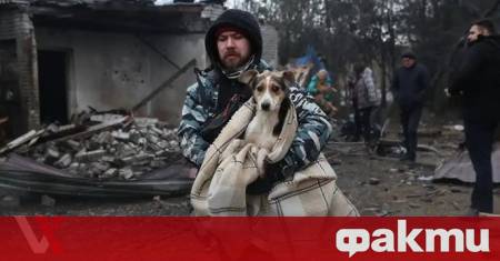 При руска въздушна атака е ударен приют за кучета в