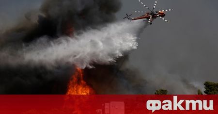 На 23 юли гръцките пожарникари се бориха с 53 горски