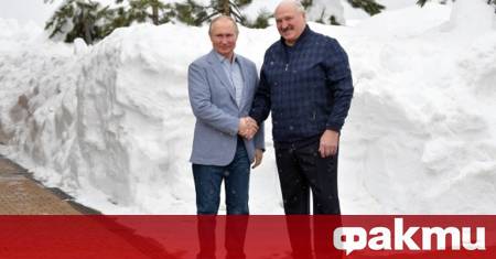 Украинският президент Володимир Зеленски призова беларуския лидер Александър Лукашенко да