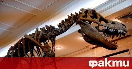 В колекцията на монголския музей е представен нов вид динозавър