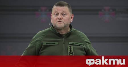 Според украинския посланик във Великобритания Валерий Залужни Украйна би могла