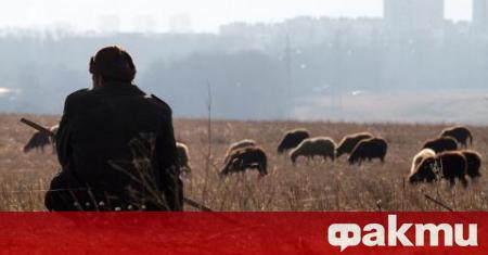 Пастир от Сандански падна в река Места край хаджидимовското село