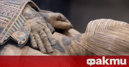 Първата в света мумия на бременна жена беше открита в