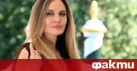 Холивудската актриса Анджелина Джоли е посетила египетската страна на граничния