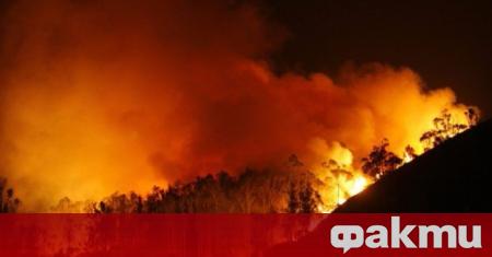 10 вили изгоряха до основи при огромен пожар над село