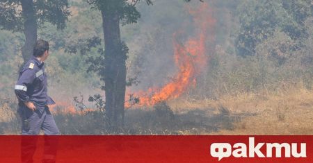 Нов горски пожар е пламнал в Сакар планина Огънят е