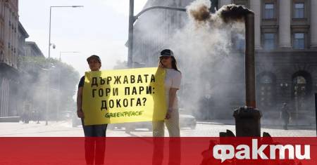 Печка за дърва пред Министерския съвет запалиха активисти от Грийнпийс