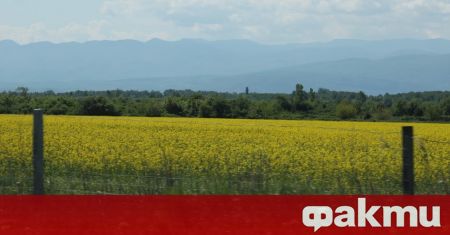 Цената на земеделските земи в област Добрич през 2021 година