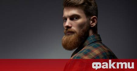 Брадата – символ на мъжественост стил и индивидуалност или пък
