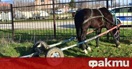 Дете на 2 години и 35 годишната му майка са