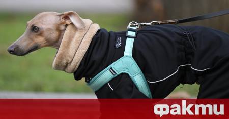 Ледени дни с отрицателни максимални температури ще бележат края на