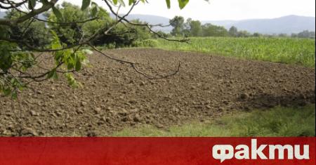 Общинска служителка стана клиентка на Темида след като припечели над