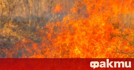 Опустошителен горски пожар продължава да гори в национален парк в