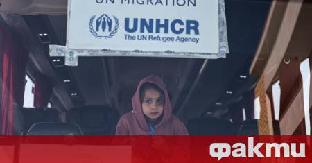 Близо 780 000 души са се завърнали в Сирия след