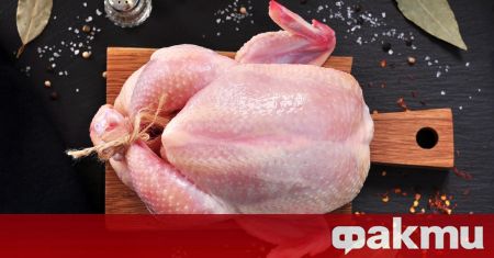 Британският журналист Морланд Сандърс разкри че в пилешкото месо което