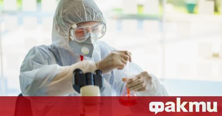 Три готвачки от 88 детска градина в столичния квартал Дружба