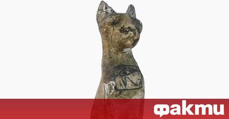 В Австралия 52 годишен мъж бе обвинен в кражба на