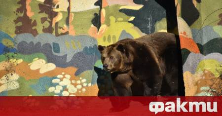 реминаването към еврото принуждава столичния зоопарк да затвори врати в