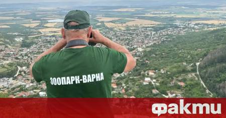 ФАКТИ публикува мнения с широк спектър от гледни точки за