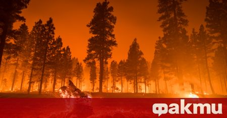 Във връзка с множеството горски и полски пожари обхванали различни