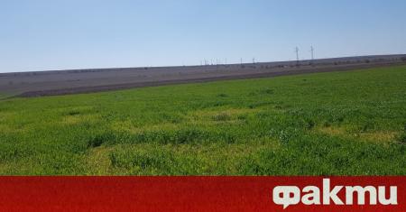 Двама земеделски производители от Козлодуй се оплакаха, че неизвестни лица