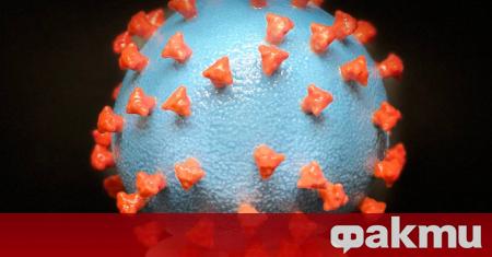 42 нови проби за коронавирус са били взети до 11