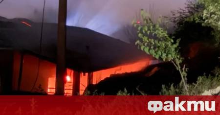 Над 100 крави са изгорели един човек е със 70